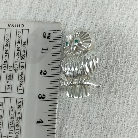 ๐จ๐ฆ Premier Designs Sterling Silver Owl Brooch - Picture 3 of 3
